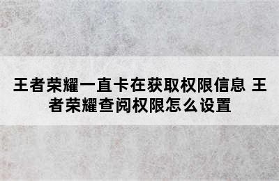 王者荣耀一直卡在获取权限信息 王者荣耀查阅权限怎么设置